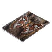 Atlas Moth Rustic Notitieboek (Linkerzijde)