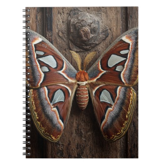Atlas Moth Rustic Notitieboek (Voorkant)