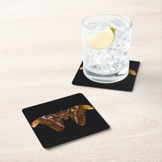 Atlas Moth - Snake Head Kartonnen Onderzetters (Insitu)