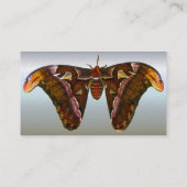 Atlas Moth - Snake Head Visitekaartje (Achterkant)
