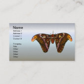 Atlas Moth - Snake Head Visitekaartje (Voorkant)
