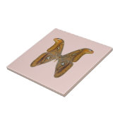 Atlas Moth Tegeltje (Zijkant)