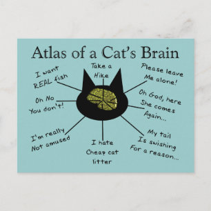 Atlas Of a Cat's Brain Briefkaart