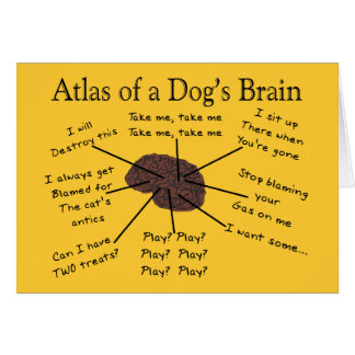 Atlas van een hond