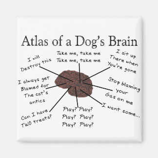 Atlas van een hond magneet