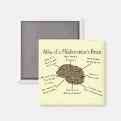 Atlas van een Phlebotomist-brein Magneet (Voorkant / Achterkant)