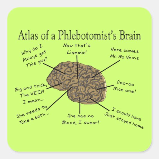 Atlas van een Phlebotomist-brein Vierkante Sticker (Voorkant)