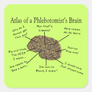 Atlas van een Phlebotomist-brein Vierkante Sticker