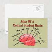 Atlas van het Brain van de Medische Student Briefkaart (Voorkant / Achterkant)