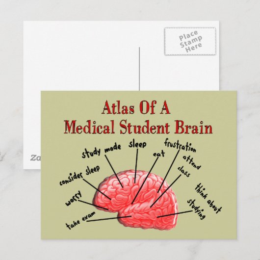 Atlas van het Brain van de Medische Student Briefkaart (Voorkant / Achterkant)