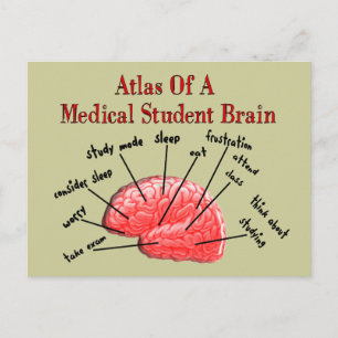 Atlas van het Brain van de Medische Student Briefkaart