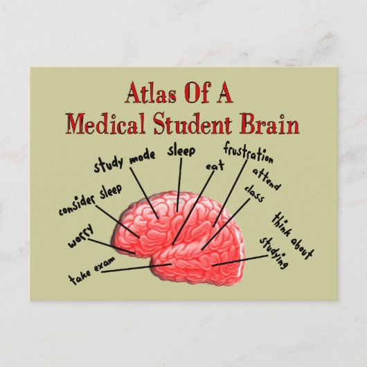 Atlas van het Brain van de Medische Student Briefkaart (Voorkant)