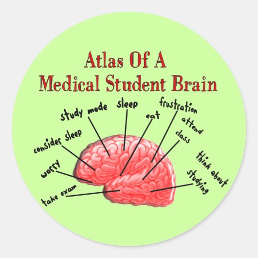 Atlas van het Brain van de Medische Student Ronde Sticker (Voorkant)