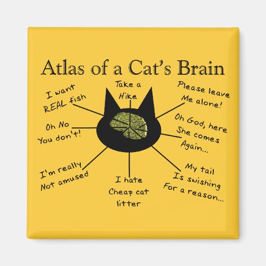 atlas van het brein van een auto magneet (Voorkant)