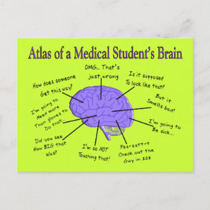 Atlas van het brein van een medische student #2 briefkaart