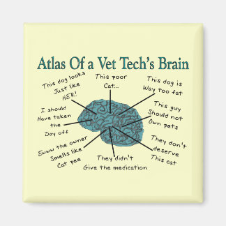 Atlas van het brein van Vet Tech Magneet