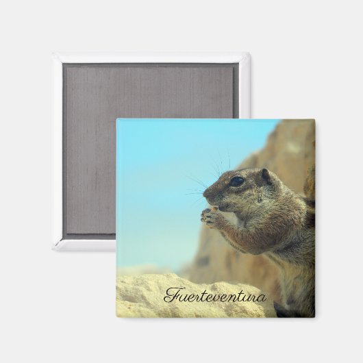 Atlashörnchen Magneet (Voorkant / Achterkant)