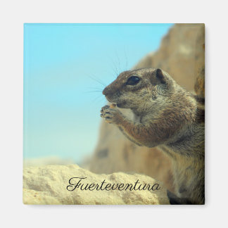 Atlashörnchen Magneet