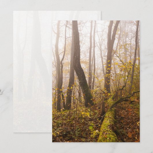 Atmospheric Autumn Forest in Mist Feestdagenkaart (Voorkant / Achterkant)