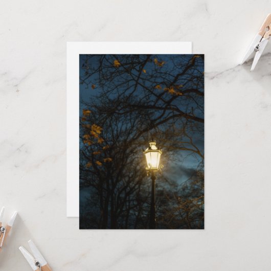 Atmospheric Lantern in Autumn Park Kaart (Voorkant / Achterkant in situ)