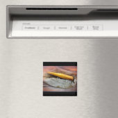Atom A40  zout water Vist Lure Magneet (Insitu (Vaatwasser))