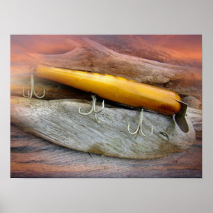 Atom A40  zout water Vist Lure Poster