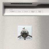atomium magneet (Insitu (Vaatwasser))
