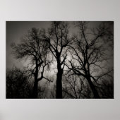 atoomkerebellum : het front van het meer in de win poster (Voorkant)