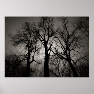 atoomkerebellum : het front van het meer in de win poster