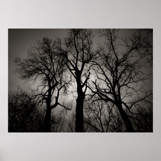 atoomkerebellum : het front van het meer in de win poster (Voorkant)