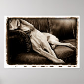 Atoomkerebellum : overname van de Couch Poster (Voorkant)