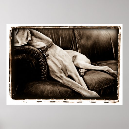 Atoomkerebellum : overname van de Couch Poster (Voorkant)