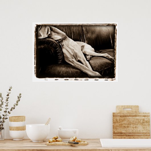 Atoomkerebellum : overname van de Couch Poster (Keuken)