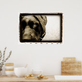 Atoomkerebellum : Stray Poster (Keuken)