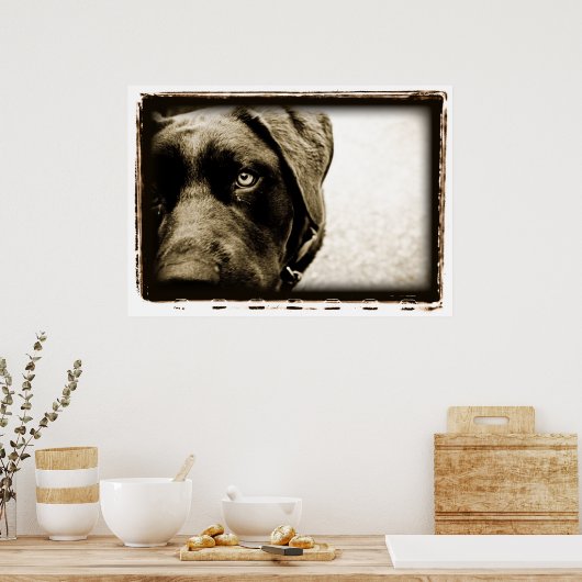 Atoomkerebellum : Stray Poster (Keuken)