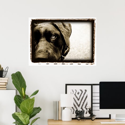 Atoomkerebellum : Stray Poster (Thuiskantoor)