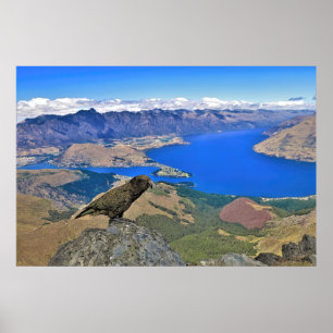 Atop Ben Lomond Poster