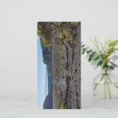 atop dry lava bed of kilauea iki krater (Staand voorkant)