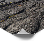 atop dry lava bed of kilauea iki krater poster (Hoek)