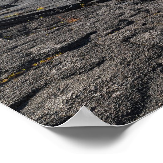 atop dry lava bed of kilauea iki krater poster (Hoek)