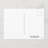 atop mount mansfield over uitzicht feestdagenkaart (Achterkant)