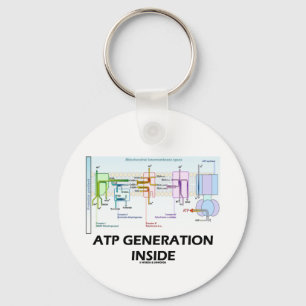 ATP-generatie binnen (elektronenvervoersketen) Sleutelhanger