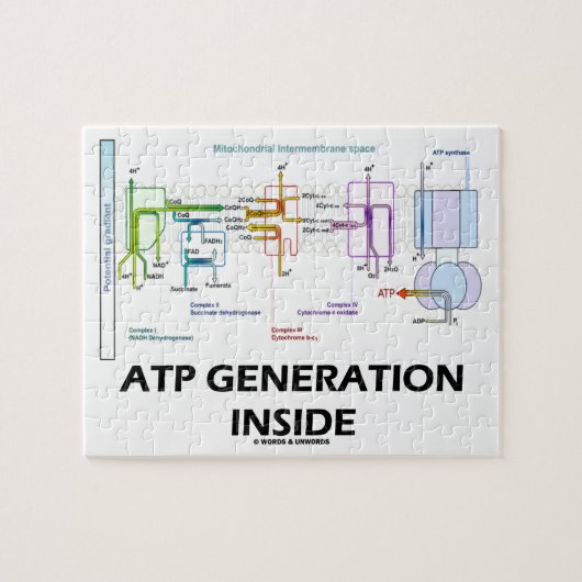 ATP-generatie in de keten van het elektronentransp Legpuzzel (Horizontaal)
