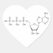 ATP-molecule Hart Sticker (Voorkant)