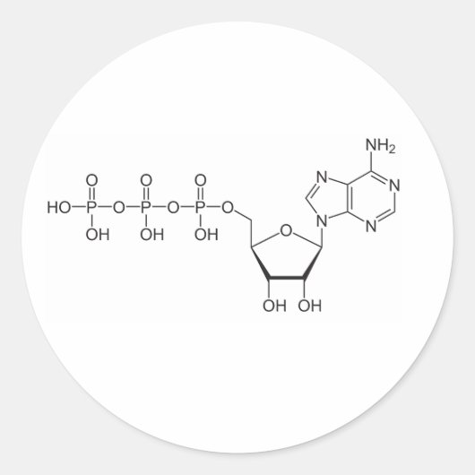 ATP-molecule Ronde Sticker (Voorkant)