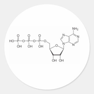 ATP-molecule Ronde Sticker