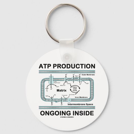 ATP-productie aan de binnenkant Sleutelhanger (Voorkant)