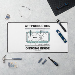 ATP-productie is gaande binnen het mitochondrion Bureaumat