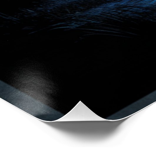 ATP-toernooi van America 03 Perfect Poster (Hoek)