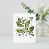 Atropa belladonna (Dodelijke Nightshade) Briefkaart (Staand voorkant)